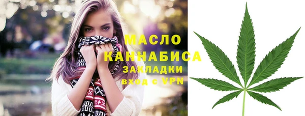 гашик Пестово