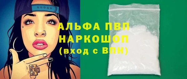 спиды Пересвет